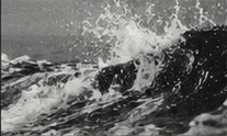 TIDAL
